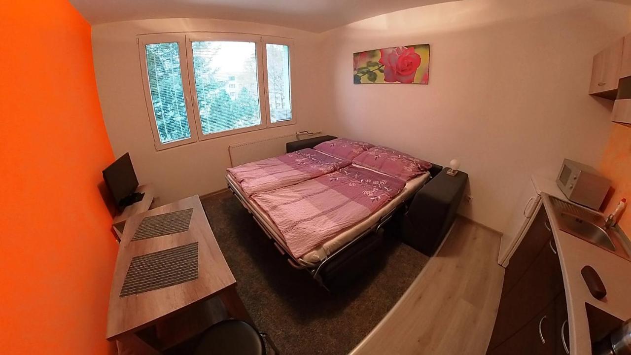 Garsonka Hlinik Lejlighed Třeboň Eksteriør billede